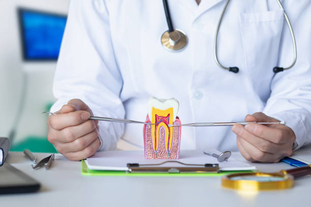 Best Pediatric Emergency Dentist in Hampton, GA